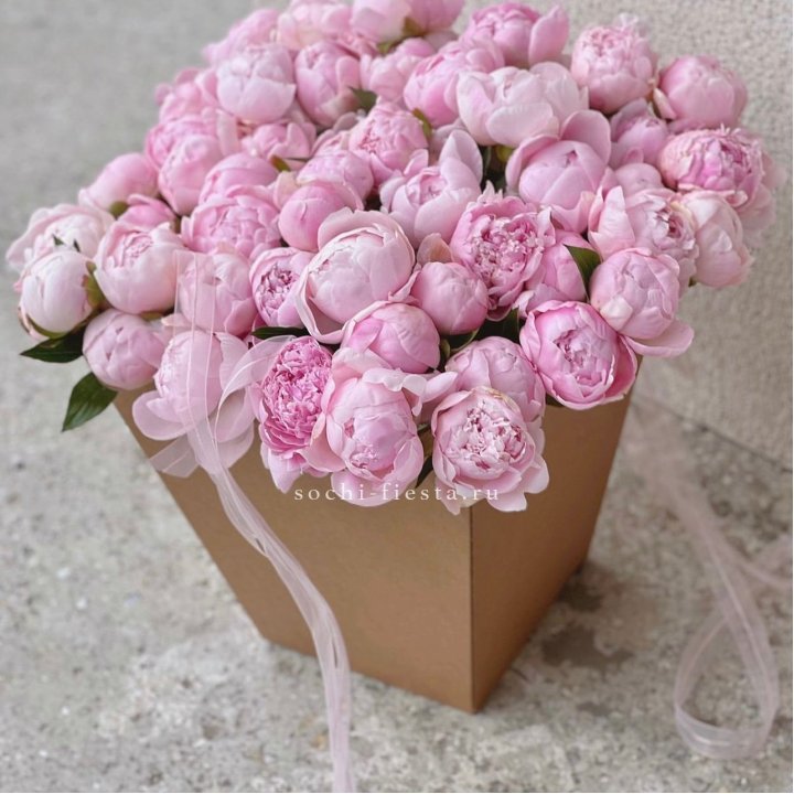 49 пионов в крафт коробке в Благовещенске