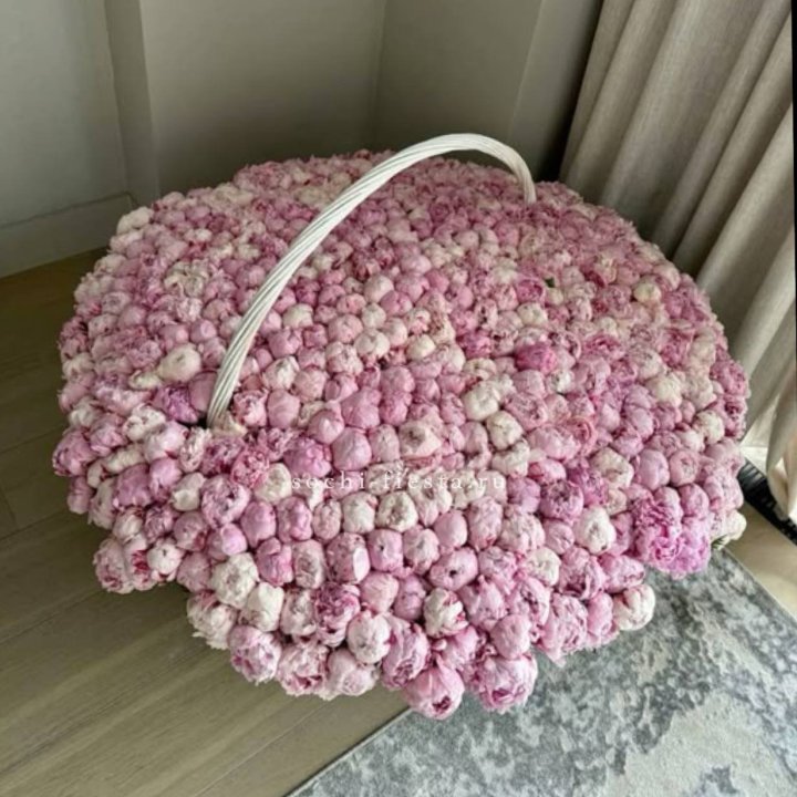 Корзина 555 пионов в Благовещенске