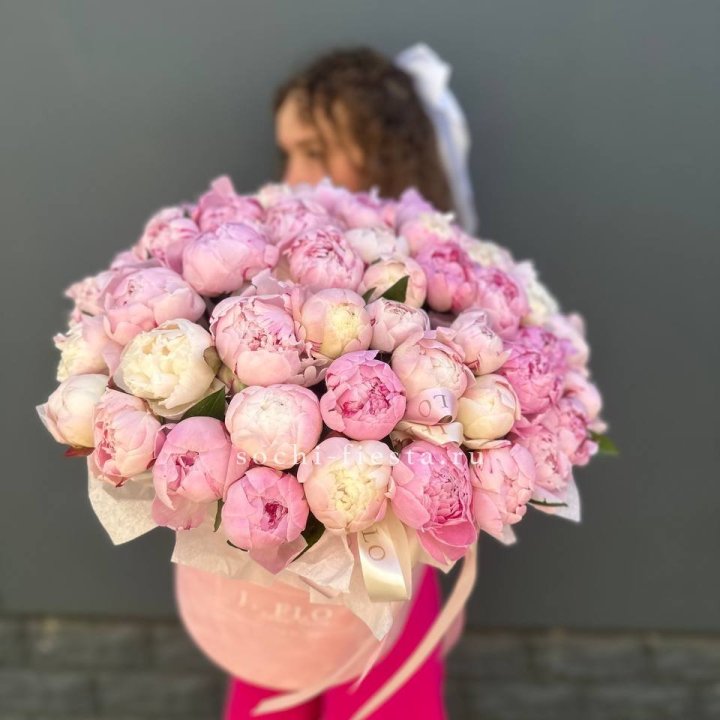 51 нежных пионов  в цилиндре в Благовещенске