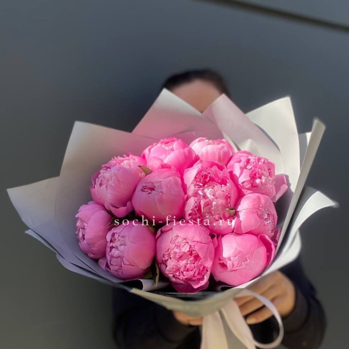 Пионы Алекс флеминг в Благовещенске