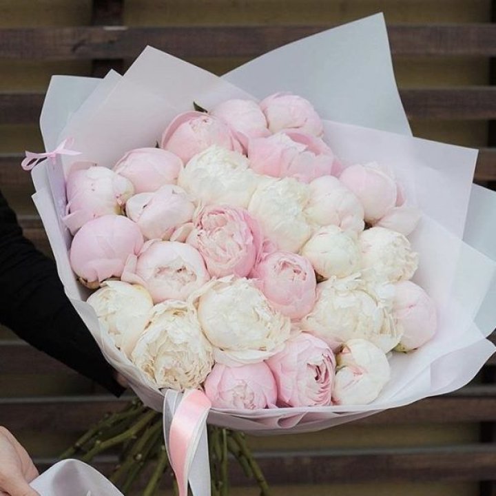 29 пионов в Благовещенске