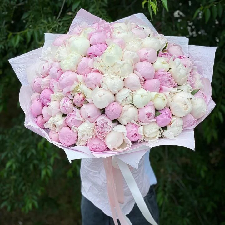 101 пион в Благовещенске