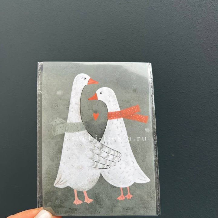 Открытка к букету "Гуси” в Благовещенске