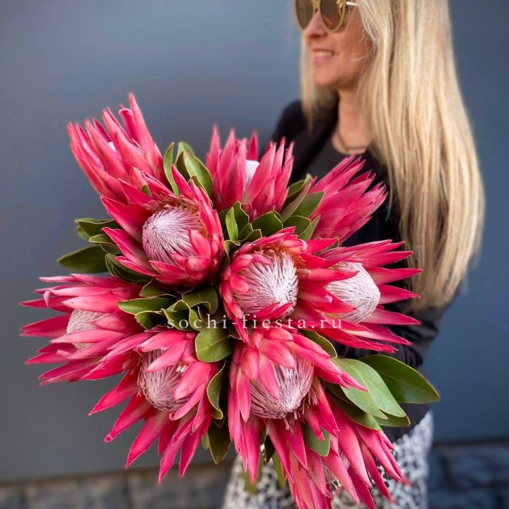 Протея штучно в Благовещенске