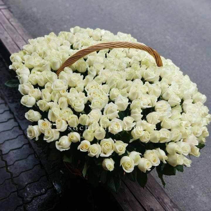 303 розы в корзине в Благовещенске