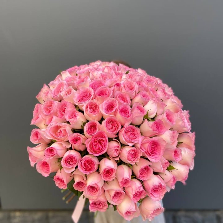 101 розовая роза в Благовещенске