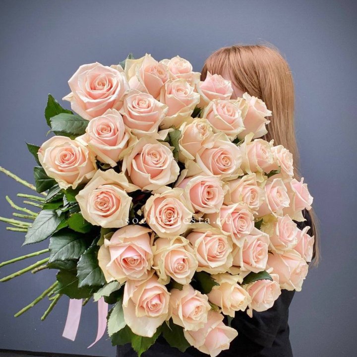35 кремовых высоких роз в Благовещенске