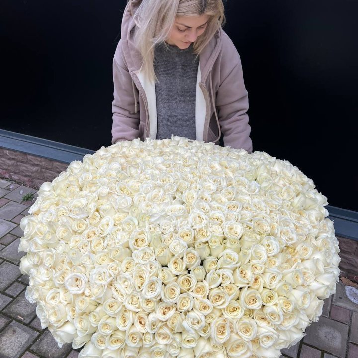 501 белая роза в корзине в Благовещенске