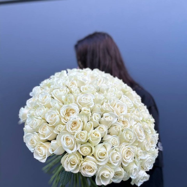 Охапка из 101 белой розы  в Благовещенске