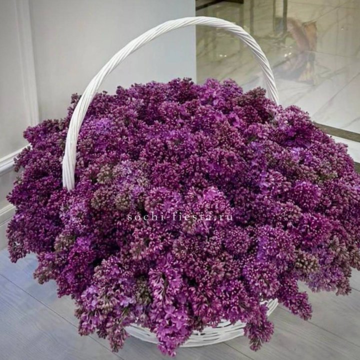 Корзина сирени в Благовещенске