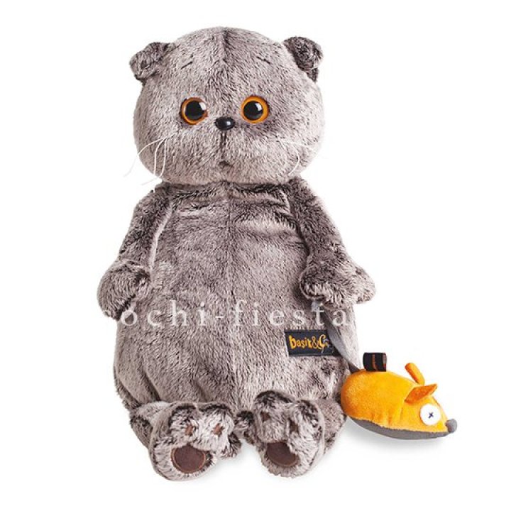 Кот Басик с мышкой в Благовещенске