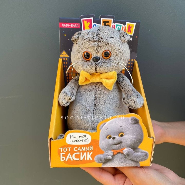 Кот Басик с бабочкой в Благовещенске