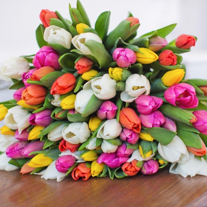 79 тюльпанов "Рандом" в Благовещенске