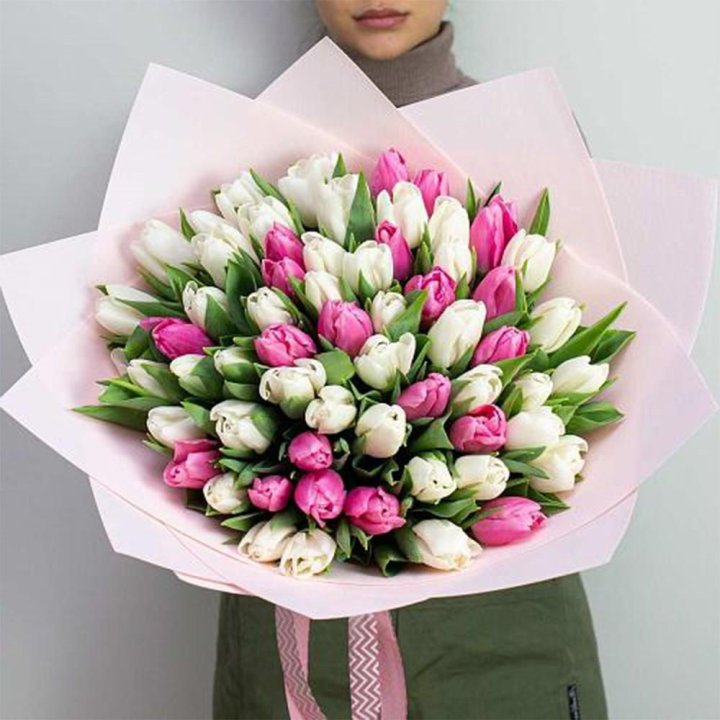 61 бело-розовый тюльпан в Благовещенске