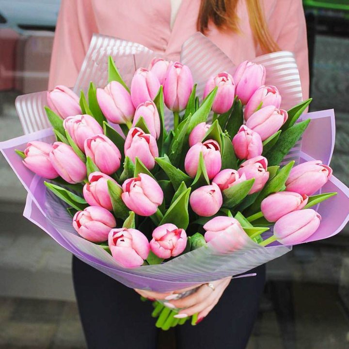 25 тюльпанов "Айс крем" в Благовещенске