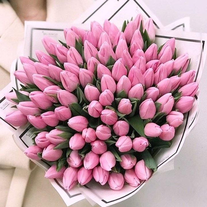 101 розовый тюльпан в белом в Благовещенске