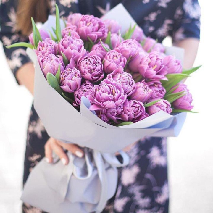 Тюльпаны "Пионс" в Благовещенске