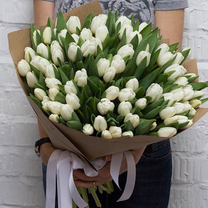 101 тюльпан сноу в Благовещенске