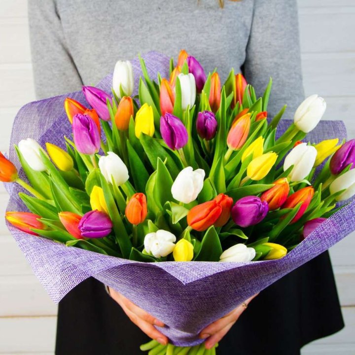 51 тюльпан "Рандом" №2 в Благовещенске