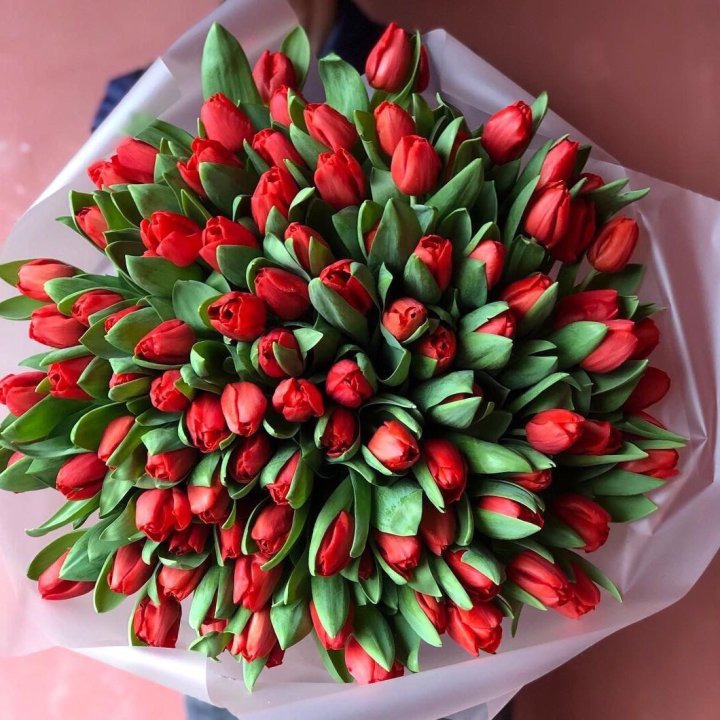 101 красный тюльпан в Благовещенске